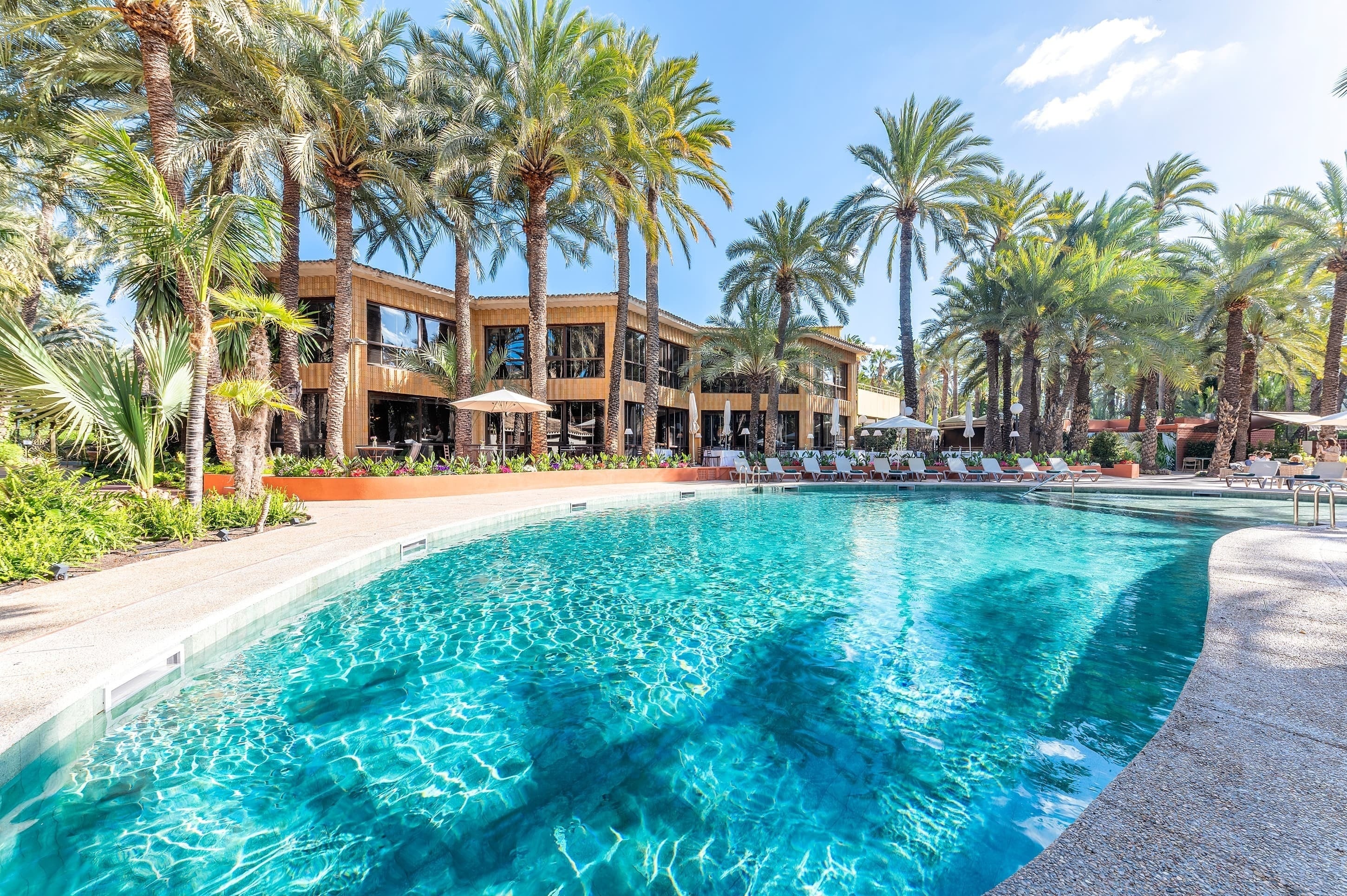 Palmera Imperial en el Huerto del Cura en Elche rodeada de jardín botánico